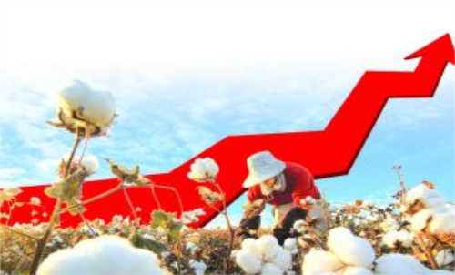 棉花期貨價格變化和哪些因素有關(guān)？