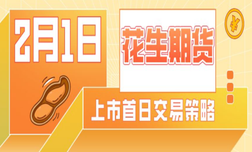 花生期貨的手續費是多少？